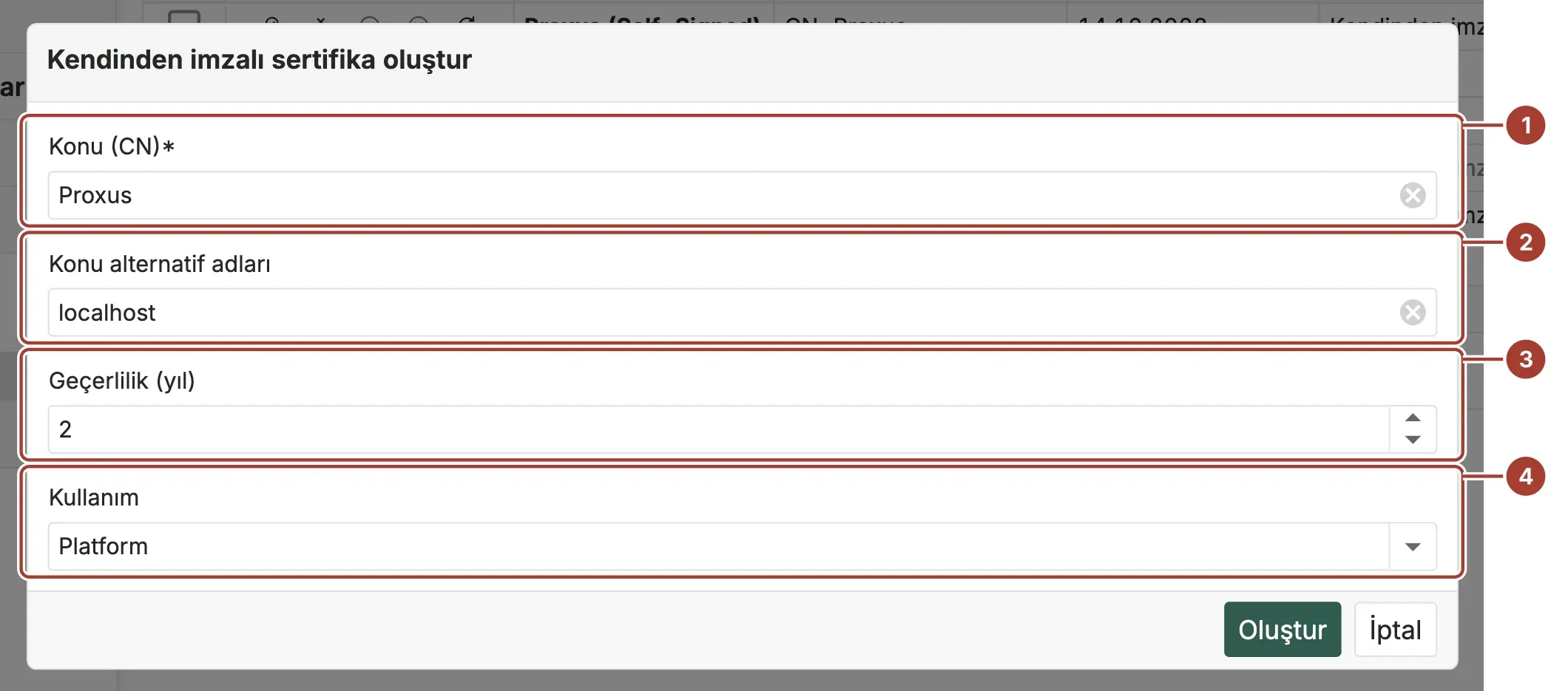 Konu, Konu alternatif adları, Geçerlilik ve Kullanım işaretli Kendinden imzalı sertifika oluştur penceresi