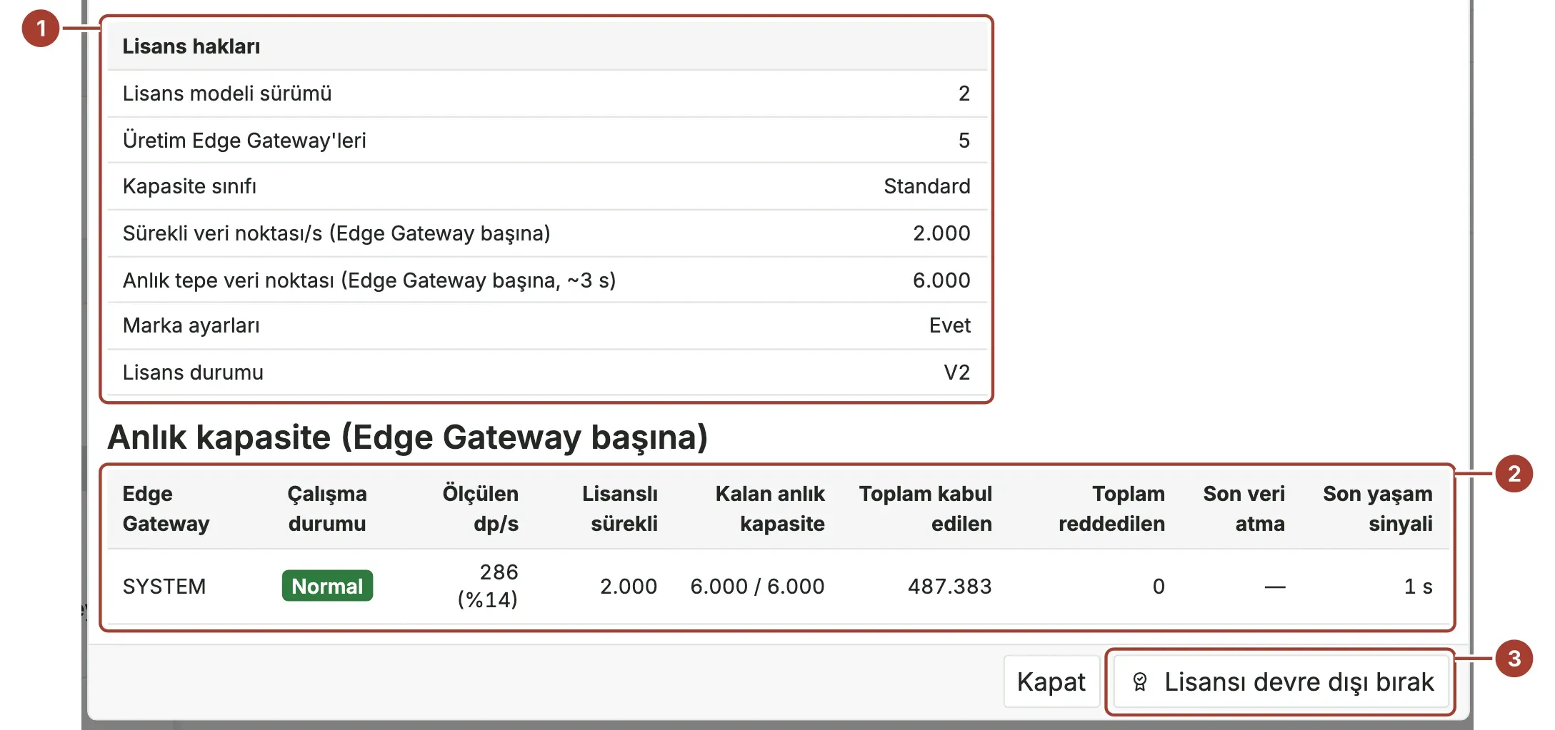 Lisans hakları tablosu, Anlık kapasite tablosu ve Lisansı devre dışı bırak düğmesi işaretli Lisans bilgisi penceresi