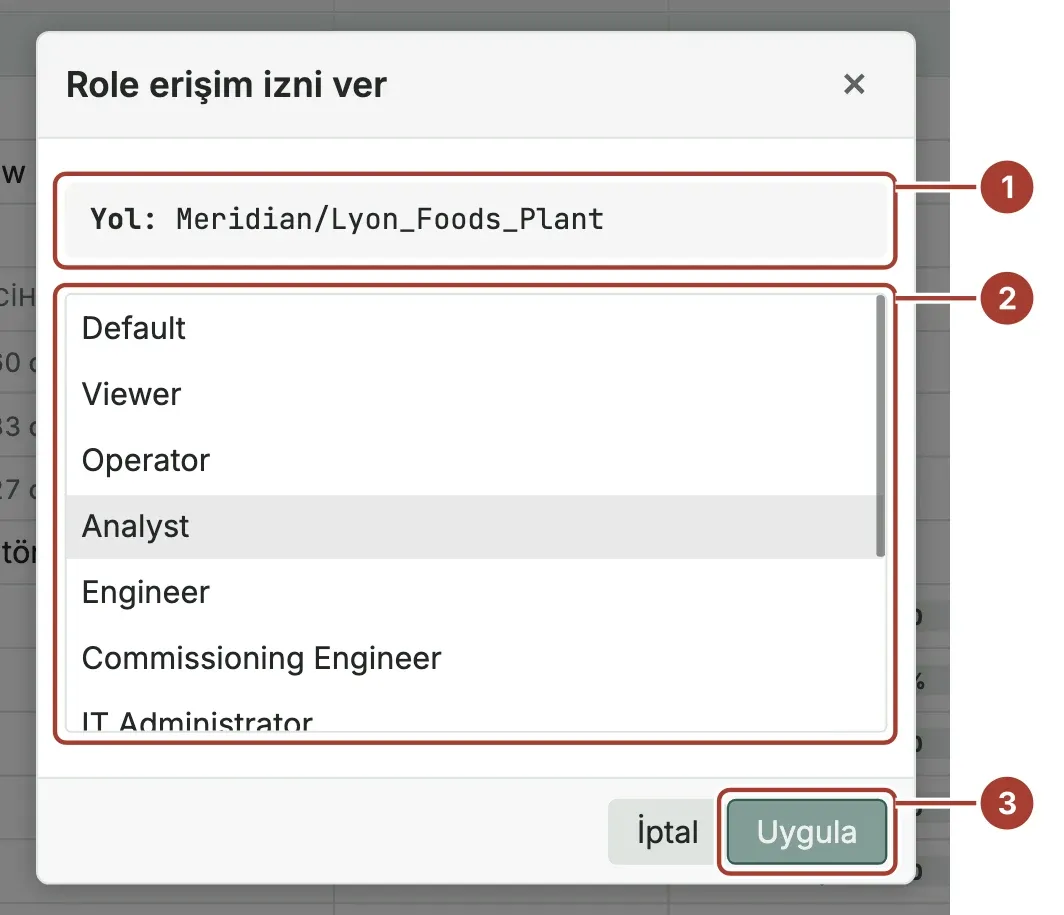 Meridian/Lyon_Foods_Plant yolu, rol listesi ve Uygula düğmesi işaretli Role erişim izni ver penceresi