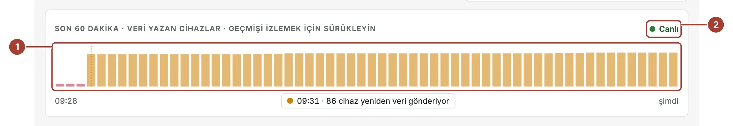 Son 60 dakikanın zaman çizelgesi: her dakika için veri yazan cihaz sayısını gösteren bir çubuk ve Canlı rozeti