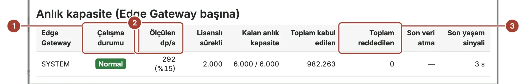 İki Edge Gateway için Çalışma durumu, Ölçülen dp/s ve Toplam reddedilen sütunları işaretlenmiş Anlık kapasite tablosu