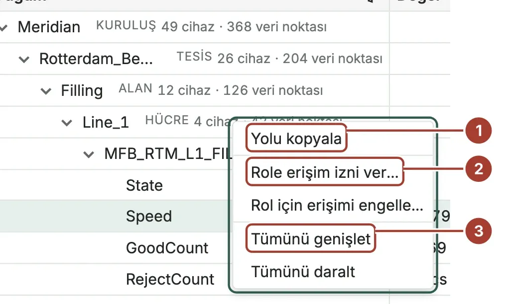 Line_1 düğümünün sağ tık menüsü: Yolu kopyala, Role erişim izni ver, Rol için erişimi engelle, Tümünü genişlet ve Tümünü daralt